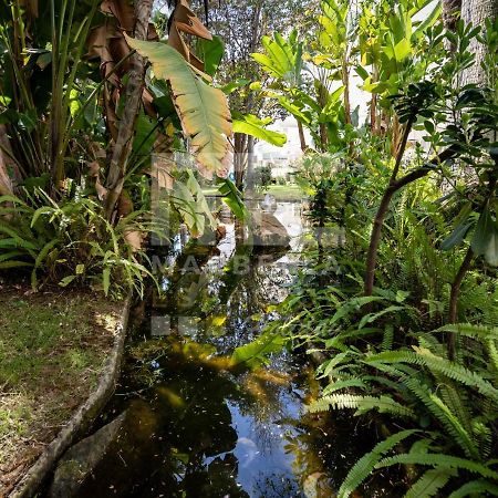 Lovely apartment marbella center garden views 130 Buitenkant foto